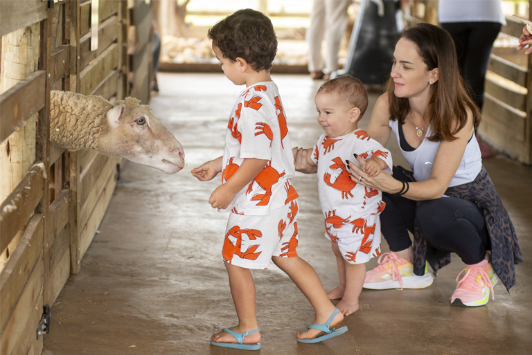Para aprender e brincar